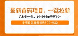 最新首码项目，操作最简单，收益高，一键拉新，1个小时单号可50+，小项目认真做每天5张+收益【揭秘】|淘骐网赚资源库