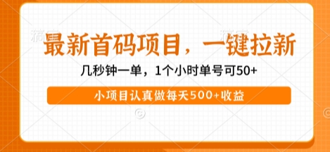 最新首码项目，操作最简单，收益高，一键拉新，1个小时单号可50+，小项目认真做每天5张+收益【揭秘】|淘骐网赚资源库