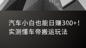 汽车小白也能日入3张!实测懂车帝搬运玩法|淘骐网赚资源库