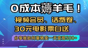0成本薅羊毛!视频会员、话费卷、30元电影票白送，分享我如何靠转卖一天变现5张+【揭秘】|淘骐网赚资源库