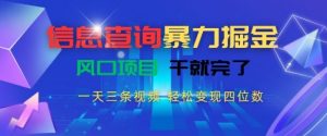 信息查询暴力掘金,一天三条视频,轻松变现四位数,风口项目干就完了【揭秘】|淘骐网赚资源库