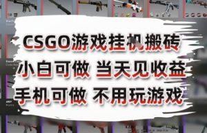 CSGO游戏挂G搬砖，小白纯手机即可操作，不用电脑打游戏，日入3张+，副业网创项目【揭秘】|淘骐网赚资源库