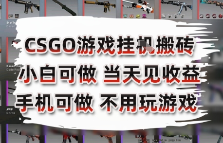 CSGO游戏挂G搬砖，小白纯手机即可操作，不用电脑打游戏，日入3张+，副业网创项目【揭秘】|淘骐网赚资源库
