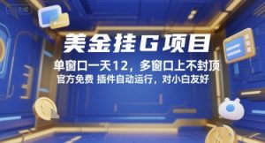 美金挂G项目，单窗口一天12，多窗口上不封顶，官方免费插件自动运行，对小白友好【揭秘】|淘骐网赚资源库