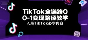 TikTok全链路0-1变现路径教学，入局TikTok必学内容|淘骐网赚资源库