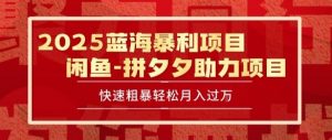 2025 最新闲鱼蓝海暴利项目 快速粗暴让你月入过1W不是梦，保姆级教程【揭秘】|淘骐网赚资源库