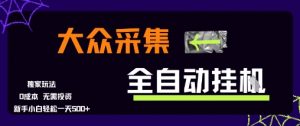 大众采集全自动玩法,新手小白轻松一天5张+,操作简单零成本【揭秘】|淘骐网赚资源库