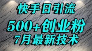 创业粉怎么打?快手精准引流创业粉,宝妈群体日进500+精准流量|淘骐网赚资源库