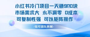 小红书冷门项目一天收益9张，市场需求大，0成本，可复制性强可以矩阵操作|淘骐网赚资源库