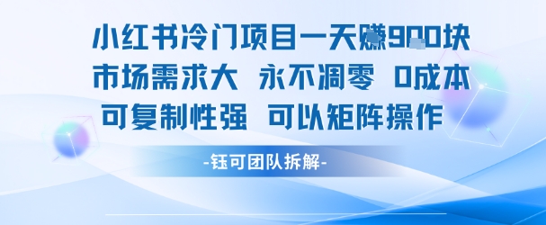 小红书冷门项目一天收益9张,市场需求大,0成本,可复制性强可以矩阵操作|淘骐网赚资源库