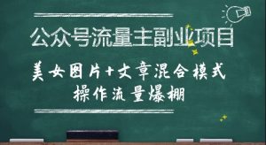 公众号流量主副业项目,美女图片+文章混合模式操作流量爆棚|淘骐网赚资源库
