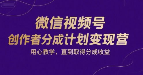 微信视频号创作者分成计划变现营，用心教学，直到取得分成收益|淘骐网赚资源库