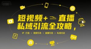 短视频+直播私域引流全攻略,IP打造 +视频引流 +直播引流 +私域沉淀|淘骐网赚资源库
