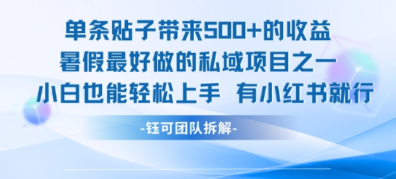 单条贴子带来5张的收益，暑假最好做的私域项目之一，小白也能轻松上手，有小红书就行|淘骐网赚资源库