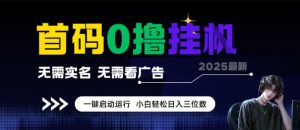 首码0撸全自动挂G项目，无需实名无需看广告，小白轻松日入3位数，多号短阵收益无上限【揭秘】|淘骐网赚资源库