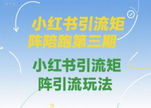 小红书引流矩阵陪跑第三期,小红书引流矩阵引流玩法|淘骐网赚资源库