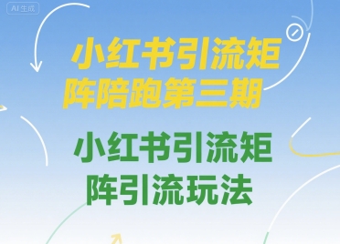 小红书引流矩阵陪跑第三期,小红书引流矩阵引流玩法|淘骐网赚资源库