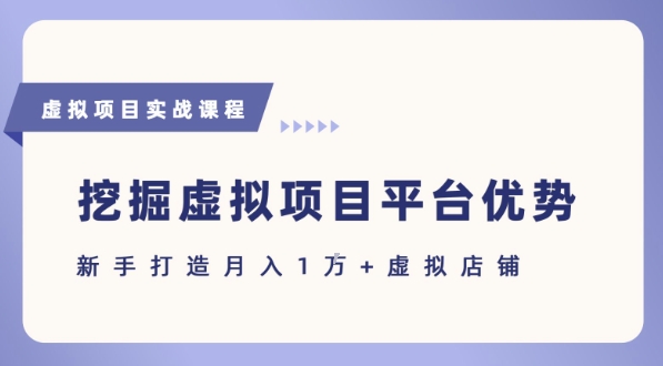抓住虚拟项目各平台优势,新手轻松月入1W+(给出具体建议)|淘骐网赚资源库