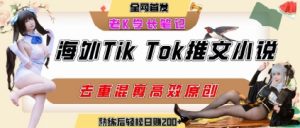 海外tiktok小说推文暴力项目,高停留率,高转化率,上手后一天搞顿饭钱不是问题|淘骐网赚资源库
