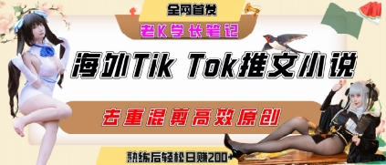 海外tiktok小说推文暴力项目,高停留率,高转化率,上手后一天搞顿饭钱不是问题|淘骐网赚资源库