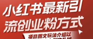 小红书最新引流创业粉方式，项目图文玩法介绍以及如何安全倒流私域|淘骐网赚资源库