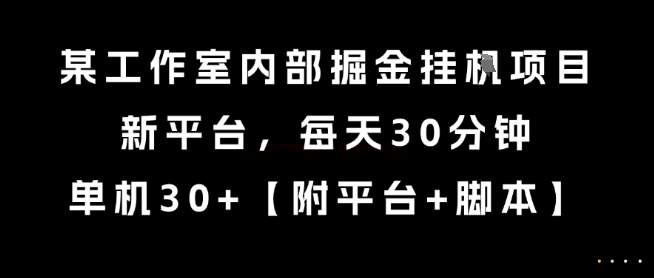 某工作室内部掘金挂G项目,新平台,每天30分钟,单机30+【揭秘】|淘骐网赚资源库