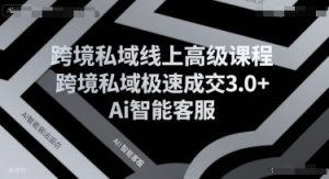 跨境私域线上高级课程,跨境私域极速成交3.0+Ai智能客服|第一资源库