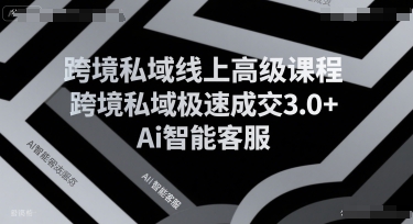 跨境私域线上高级课程,跨境私域极速成交3.0+Ai智能客服|第一资源库