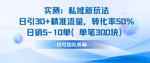 实测私域新玩法日引30加精准流量转化率50%日销5-10单每笔3张|淘骐网赚资源库