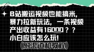 b站掘金计划？搬运视频也能挣拉新的收益，小白应该怎么玩！|淘骐网赚资源库