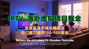 【海外虚拟项目掘金】日入100-200美刀,自己在家就可以闷声发大财,长期可做,工作室可复制扩大【揭秘】|淘骐网赚资源库