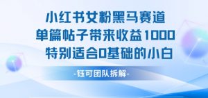 小红书女粉黑马赛道单篇帖子带来收益1k+，特别适合0基础的小白|淘骐网赚资源库