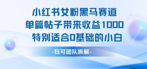 小红书女粉黑马赛道单篇帖子带来收益1k+，特别适合0基础的小白|淘骐网赚资源库