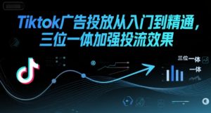 Tiktok广告投放从入门到精通,三位一体加强投流效果|淘骐网赚资源库