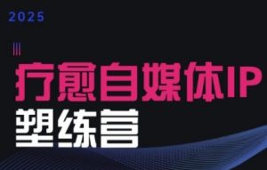 2025治愈自媒体IP训练营,专为疗愈领域从业者打造|第一资源库