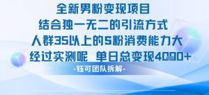 全新男粉变现项目引流人群35以上的男粉消费能力大 经过实测单日变现1k+|淘骐网赚资源库