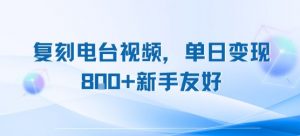 复刻电台视频,单日变现8张+新手友好,长期可做|淘骐网赚资源库