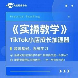 大卖家孵化中心TikTok实操课,TikTok小店成长加速器,跨境基础系统学习,一步一步带你开店|淘骐网赚资源库