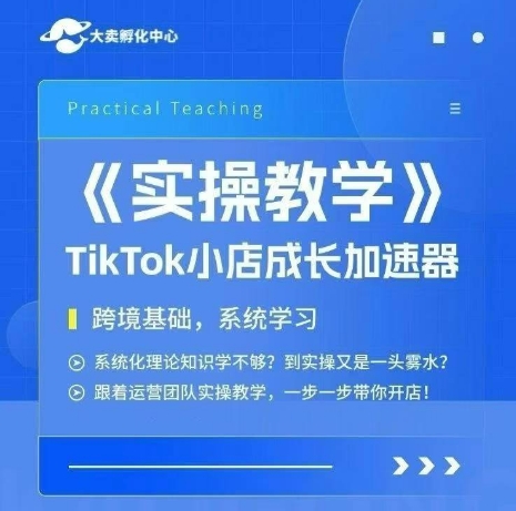 大卖家孵化中心TikTok实操课,TikTok小店成长加速器,跨境基础系统学习,一步一步带你开店|淘骐网赚资源库