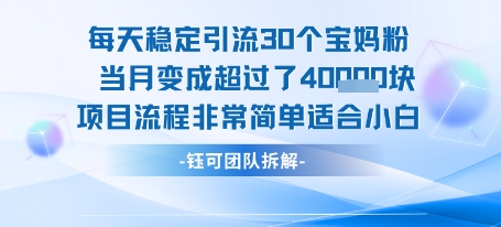 每天稳定引流30个人 当月变成超过了4个W项目流程非常简单适合小白|淘骐网赚资源库