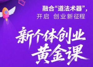 新个体创业黄金课:道法术器四维抢占2025红利|淘骐网赚资源库