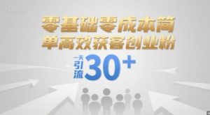 零基础零成本简单高效获客创业粉,一天引流30+|淘骐网赚资源库