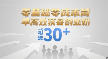 零基础零成本简单高效获客创业粉，一天引流30+|淘骐网赚资源库