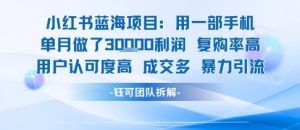 小红书蓝海项目，一部手机单月做了3W利润，小白也能月入过1W用户认可度高成交多|淘骐网赚资源库