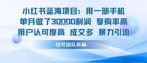 小红书蓝海项目，一部手机单月做了3W利润，小白也能月入过1W用户认可度高成交多|淘骐网赚资源库