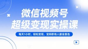微信视频号超级变现实操课,每天1小时,轻松变现,宝妈职场人副业首选|淘骐网赚资源库