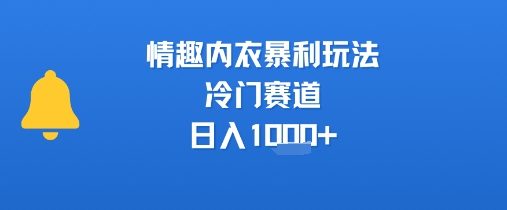 情趣内衣暴利玩法,冷门赛道,日入1k+|淘骐网赚资源库