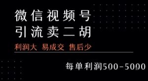 视频号卖二胡教程,利润大 易成交 售后少,一单利润5张+|淘骐网赚资源库