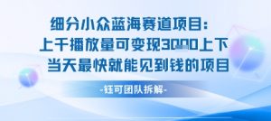 小众蓝海赛道项目：当天变现1k+适合新手操作 +适合长期玩|淘骐网赚资源库