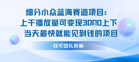 小众蓝海赛道项目:当天变现1k+适合新手操作 +适合长期玩|淘骐网赚资源库